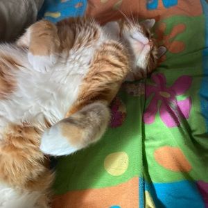 Meet your Posher, Max